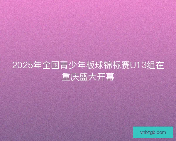 2025年全国青少年板球锦标赛U13组在重庆盛大开幕