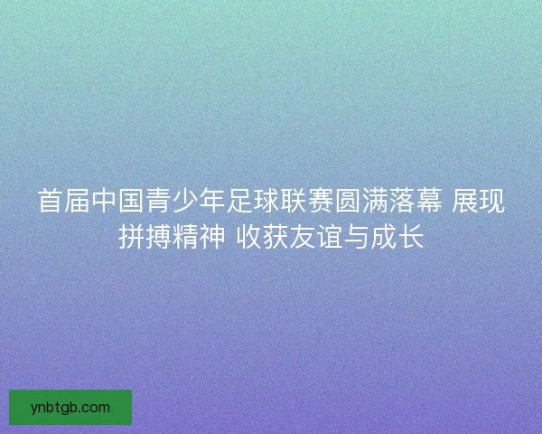 首届中国青少年足球联赛圆满落幕 展现拼搏精神 收获友谊与成长
